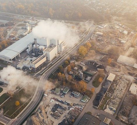 La science de l’écologie, comment la comprendre